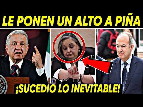 VIERNES DE JUSTICIA ¡AMLO LE PONE UN ALTO A PIÑA! CALDERRON LE SACAN SUS TRAPOS SUCI0$