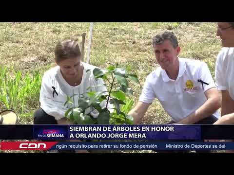 Siembran de árboles en honor a Orlando Jorge Mera