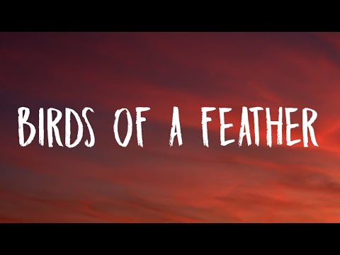 Billie Eilish - BIRDS OF A FEATHER (Lyrics)