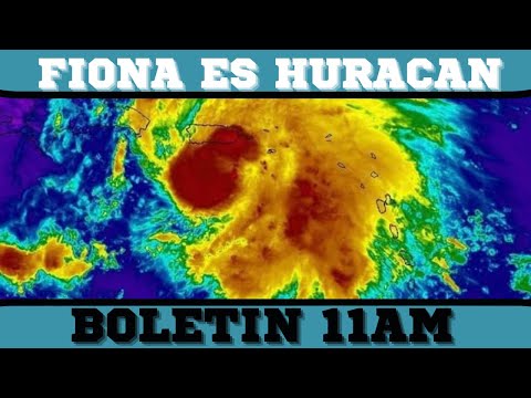 Fiona se convierte en Huracan - Boletin 11am - Puerto Rico- Republica Dominicana
