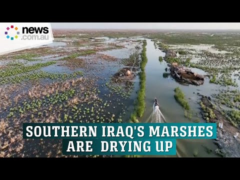 Residents of Iraq's historic marshlands fear drought