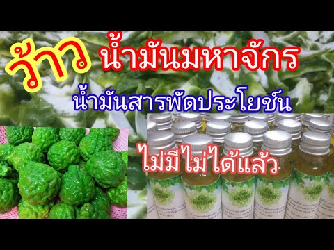 #วิธีทำน้ำมันมหาจักรไว้หมักผม- #วิธีทำน้ำมันมหาจักรไว้หมักผม-