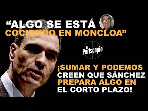 EN SUMAR NO DESCARTAN UN GOLPE DE EFECTO DE SA?NCHEZ EN EL CORTO PLAZO.  ELECCIONES ANTES DE NAVIDAD