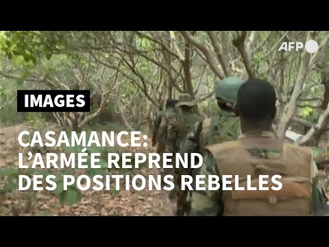 Casamance: l'armée sénégalaise revendique la prise de camps rebelles | AFP Images
