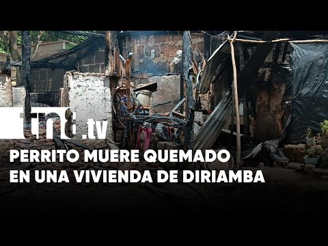 Perrito muere quemado tras fuerte incendio en una vivienda de Diriamba - Nicaragua