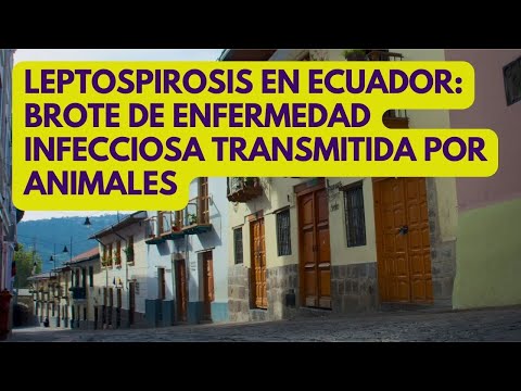 ECUADOR: brote de leptospirosis, enfermedad infecciosa transmitida por animales