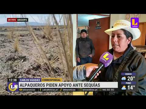 Alpaqueros piden apoyo tras sequías en Arequipa