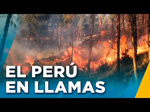 INCENDIOS EN PERÚ: 15 MUERTOS Y 22 REGIONES AFECTADAS POR EL FUEGO