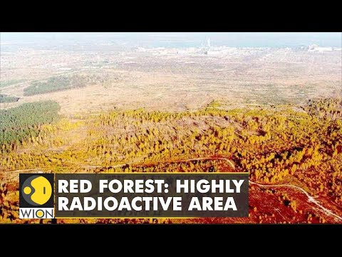 🌎Russians drove through 'Red Forest', Chernobyl workers report incident from last February