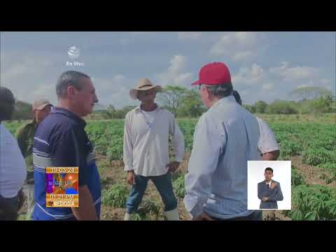 Cuba: Evalúan marcha de programas agrícolas en Camagüey