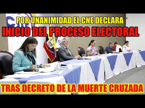 Por unanimidad el CNE declara llamado a elecciones presidenciales y de asambleístas