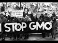 The Danger of GMO's