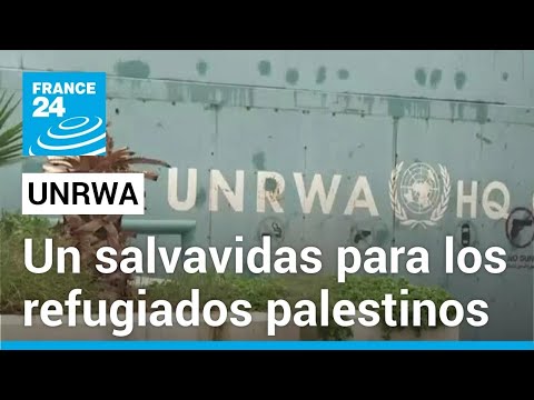 UNRWA: un salvavidas para los palestinos en Medio Oriente desde 1949 y crucial en Gaza • FRANCE 24
