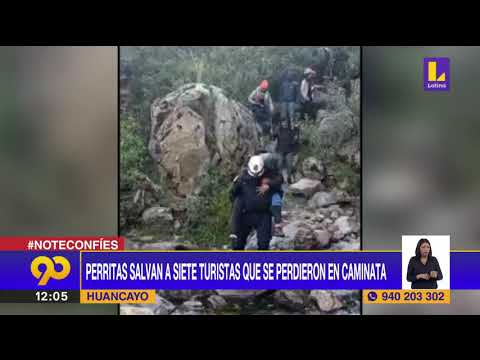 ? Perritas salvan a turistas que se perdieron en caminata | Latina Noticias