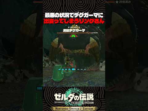 最悪の状況でデグガーマに出会ってしまうリンクさん【ゼルダの伝説　ティアキン】