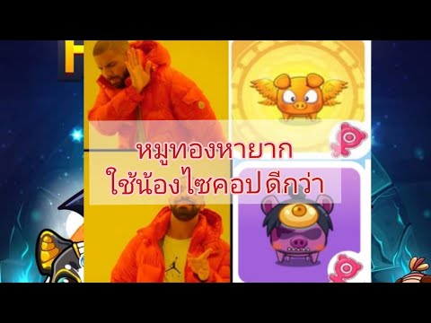 happy-hog-|-รีวิว-น้อนไซคอปผมจ happy-hog-|-รีวิว-น้อนไซคอปผมจ