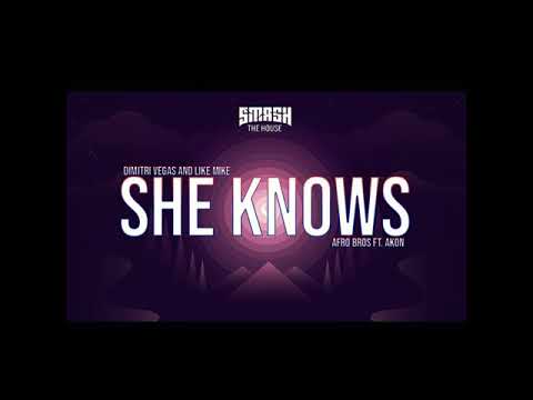 Dimitri Vegas & Like Mike x Afro Bros Ft Akon - She Knows