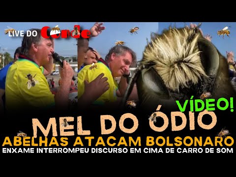 Live do Conde! Abelhas atacam Bolsonaro: enxame invade carro de som e bolsonaro foge