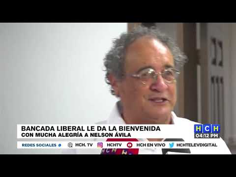 Nelson Ávila: Yo soy miembro del Partido Libre pero para rescatar Honduras debemos estar unidos