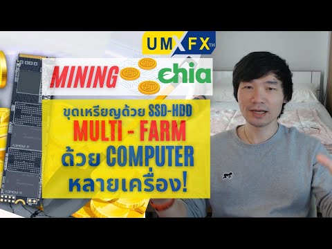 ขุดเหรียญ-Chia-เปิด-Farm-ด้วย- ขุดเหรียญ-Chia-เปิด-Farm-ด้วย-