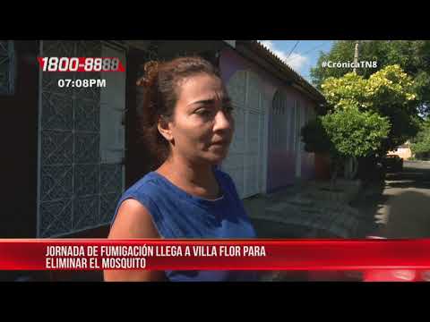 Villa Flor Sur mantiene limpieza y fumigación por salud comunitaria – Nicaragua