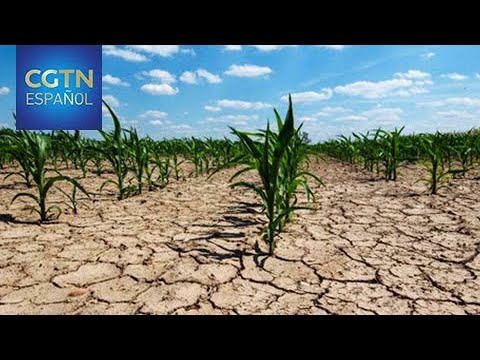La sequía es uno de los problemas que afectan a la región china de Xinjiang