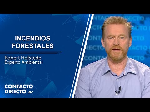 Robert Hofstede, experto ambiental | Contacto Directo | Ecuavisa