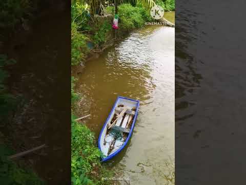 ต้นงุ้นต้นไม้ใหญ่ที่ตั้งศาลเจ