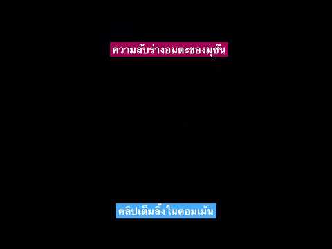 ความลับร่างอมตะของมุซัน