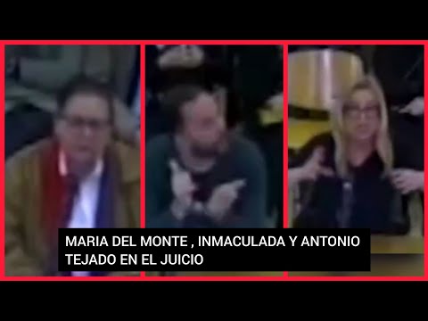?LAS DECLARACIONES EN EXCLUSIVA DEL JUICIO DE MARIA DEL MONTE CONTRA ANTONIO TEJADO