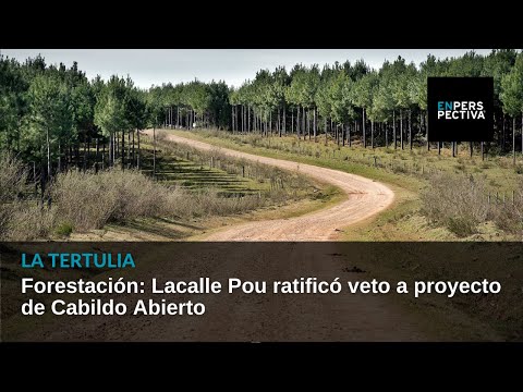 Forestación: Lacalle Pou ratificó veto a proyecto de Cabildo Abierto