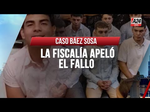 Crimen de Báez Sosa: la fiscalía apeló el fallo