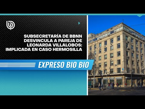 Subsecretaría de BBNN desvincula a pareja de Leonarda Villalobos: implicada en caso Hermosilla