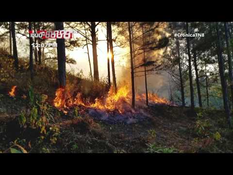 Brigadistas unidos lograron sofocar incendio forestal en Jalapa - Nicaragua