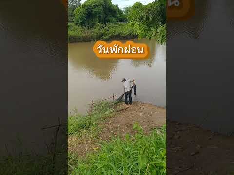 หาปลาในคลองธรรมชาติfishing