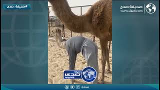 خايفين عليه من البرد