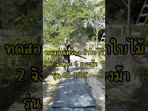 BN25 ทหารบกพลทหารเครื่องเป่าลม