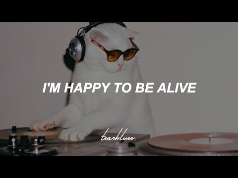 BUNT. - Best Day of My Life (BUNT. Version) (feat. Tom Odell) (Lyrics)