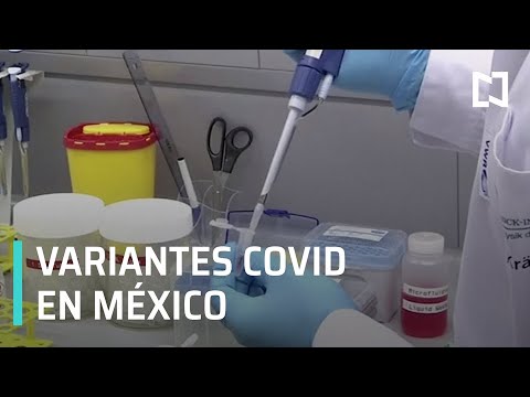 ¿Qué variantes de COVID-19 circulan en México - Despierta
