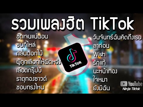 รวมเพลงฮิตในTikTok[ชัดเจนแน