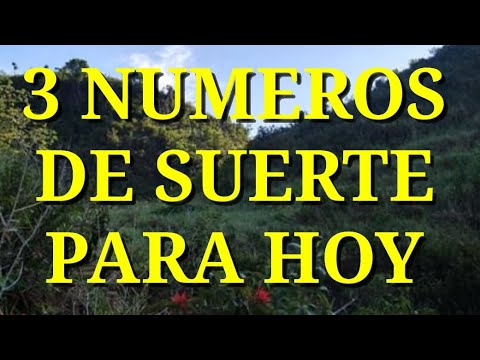 3 NÚMEROS DE SUERTE PARA HOY VIERNES 13/10/2023
