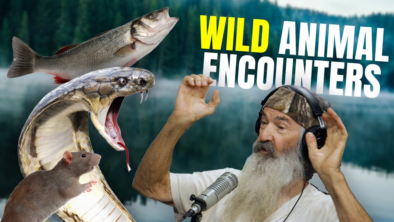 Phil & Jase Robertson Share Their WILDEST Animal Encounters | @Phil Robertson