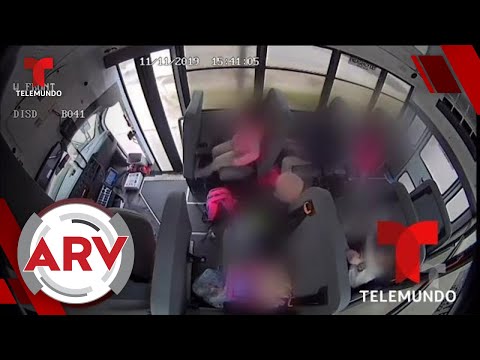 Captan la cruel agresión que vivió una niña de 5 años en autobús escolar | Al Rojo Vivo | Telemundo