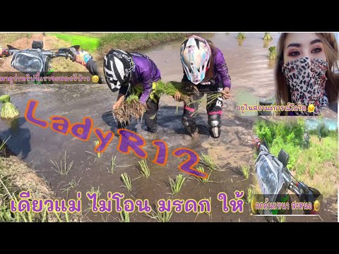 LadyR12-โควิดทำให้เราห่างสมาชิ LadyR12-โควิดทำให้เราห่างสมาชิ
