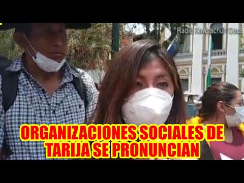 ORGANIZACIONES SOCIALES DE TARIJA SE PRONUNCIAN SOBRE LA POSESIÓN DE LUIS ARCE..