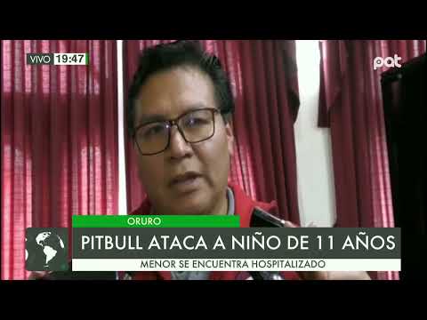 Oruro: Pitbull ataca a un niño