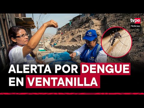 Dengue en Ventanilla: fumigan viviendas por aumento de casos