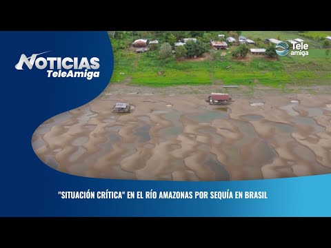 Situación crítica en el río Amazonas por sequía en Brasil - Noticias Teleamiga