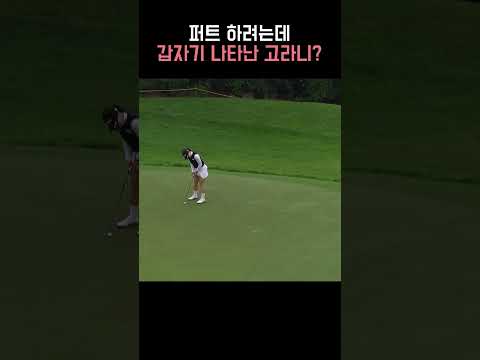 고지우 퍼트 구경하러 온 고라니!?