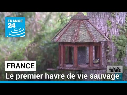 Le premier havre de vie sauvage en France • FRANCE 24